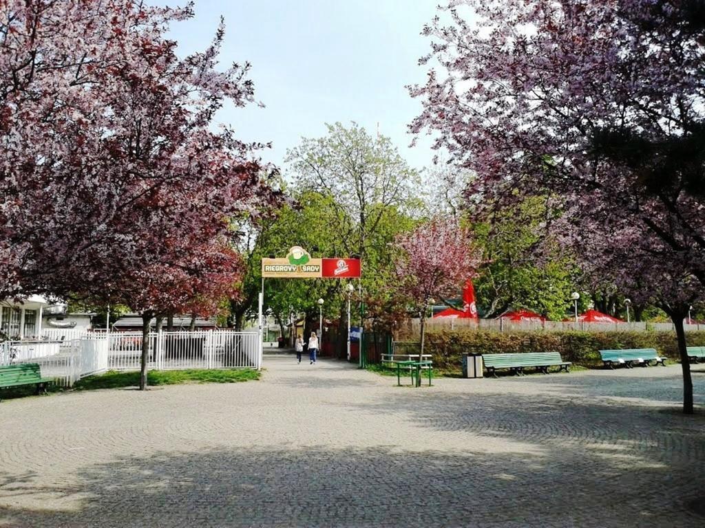 Modern Apartment Riegrovy Sady Praha Bagian luar foto